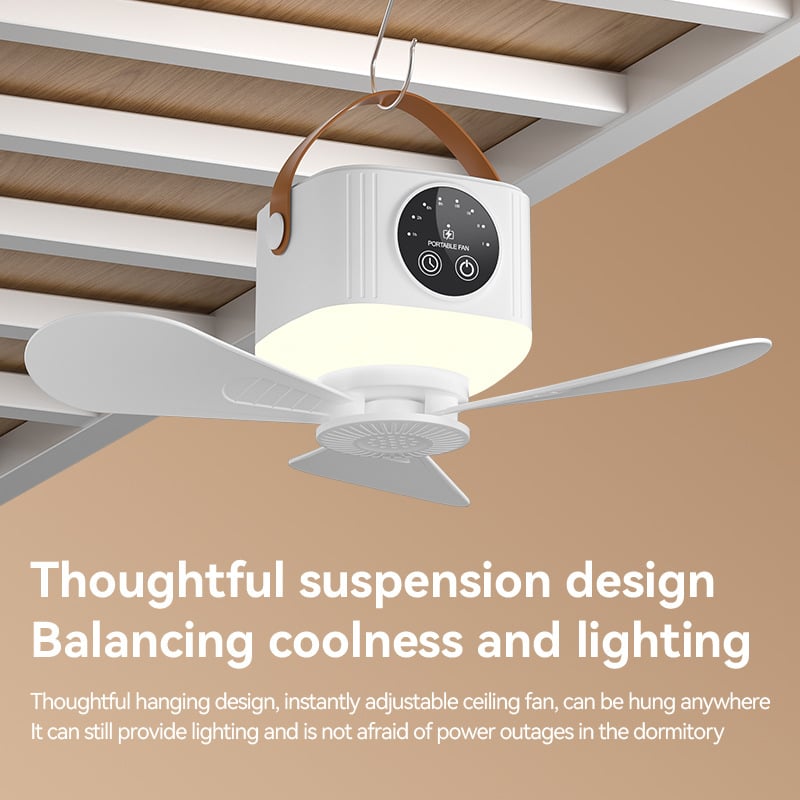 Night Light Fan