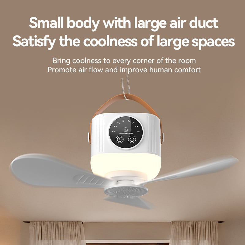 Night Light Fan