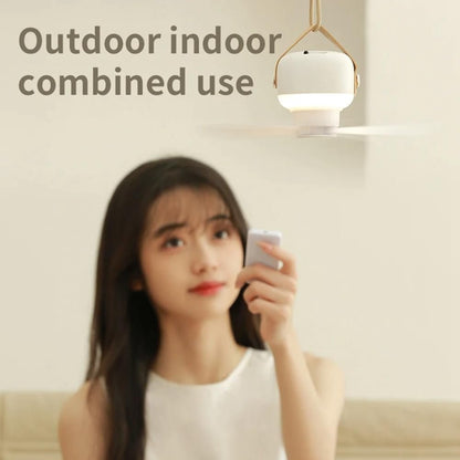 Night Light Fan
